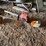 #2290-•-stihl-fs36-weed-wacker-and-dayton-leaf-blower-image-1