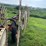 #1029-•-h&s-(12)-wheel-rake-image-11