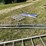 #3230-•-10'-metal-rails-image-6