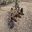 oliver-pull-type-three-bottom-plow-image-4