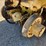 trackmobile-95tm-image-10