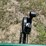 #3308-•-true-temper-wheelbarrow-and-estate-pull-behind-spreader-image-11