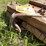 #3225-•-vintage-wood-sled-image-12