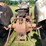 ford-850-image-8