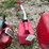 #3341-•-(3)-poly-gas-cans-image-8