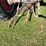 massey-ferguson-1085-image-23