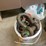 #4075-•-assortment-of-clevis's-image-2