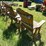 #3244-•-(2)-wood-rocking-chairs-image-5