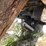 #3228-•-contents-of-shed-image-10