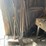 #2316-•-handled-tools-image-1