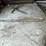 #2283-•-heavy-duty-chain-image-2