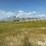 valley-8000-9-tower-pivot-image-3