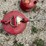 #3345-•-(2)-metal-gas-cans-image-12