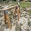 #3337-•-(2)-menards-wood-sawhorses-image-7