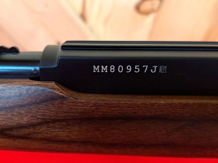 marlin-model-60-.22-lr-semiauto-rifle-image-7