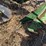 john-deere-three-point-four-bottom-plow-image-27