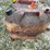 #3343-•-(3)-poly-gas-cans-image-8