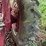 #1923-•-mccormick-farmall-a-tractor-image-26