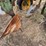 john-deere-pull-type-five-bottom-plow-image-19