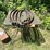 #3303-•-metal-table-and-(7)-trailer-springs-image-1