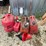 #3342-•-(4)-poly-gas-cans-image-1