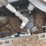 #5834-•-bobcat-snowblower-attachment-image-4