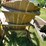 #3244-•-(2)-wood-rocking-chairs-image-9