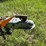 #3221-•-bayliner-capri-5.0l-boat-and-escort-trailer-(no-title)-image-35