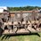 #1034-•-new-idea-manure-spreader-image-9
