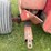 #1033-•-hew-holland-790-chopper-with-hay-head-image-8