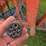 killbros-385-gravity-wagon-on-killbros-1386-running-gear-image-21