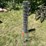#3302-•-wire-fencing-and-tomato-cages-image-8