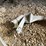 #3351-•-johnson-3hp-seahorse-outboard-motor-image-8