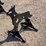 ar500-steel-coyote-shooting-target-with-heart-flapper-image-1