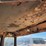 trackmobile-95tm-image-32