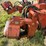 ditch-witch-350sx-image-31