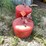 #3346-•-(2)-metal-gas-cans-image-4