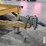 2019-felling-ft-10p-image-12