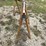 #3337-•-(2)-menards-wood-sawhorses-image-8