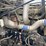 western-star-4900-image-24