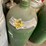 #4054-•-assorted-air-tanks-image-4