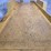 2019-felling-ft-10p-image-10