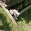 #3245-•-adirondack-wood-bench-image-14