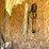 #3228-•-contents-of-shed-image-5