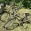 #3300-•-(2)-vintage-his-and-hers-bikes-image-1