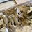 #3334-•-pallet-of-scrap-metal-image-9