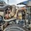 caterpillar-3406-image-31