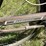 #3300-•-(2)-vintage-his-and-hers-bikes-image-8