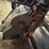 #4001-•-lown-model-b300-industrial-power-roller-image-4