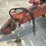 new-holland-851-image-28